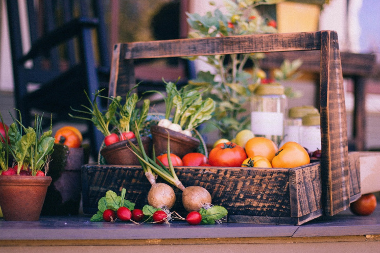 organic vegetable box